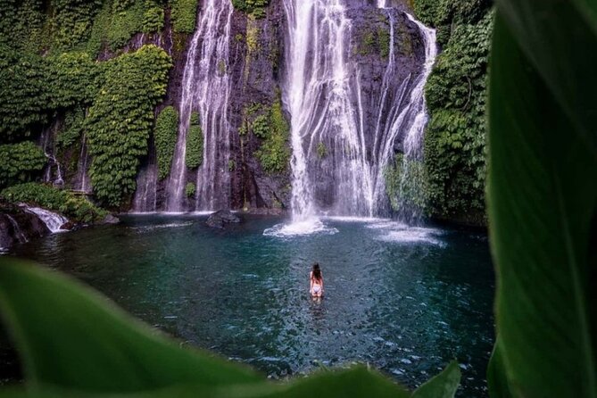 Bali Private Tour: Handara Iconic Gate, Watefall and Temple - Key points at a glance