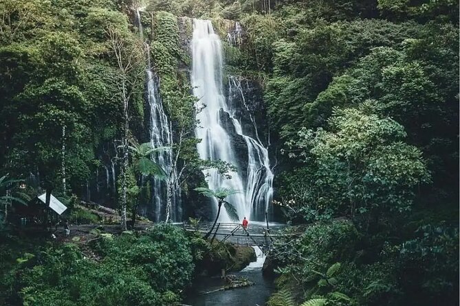Bali Private Tour: Handara Iconic Gate, Watefall and Temple - Wanagiri Hidden Hills and the short swing stop