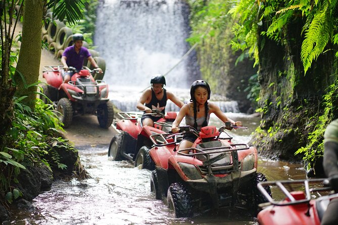 Bali Quad Bike Through Gorilla Cave - Monkey Forest and Waterfall - Lunch, showers, and a pool at Abiansila