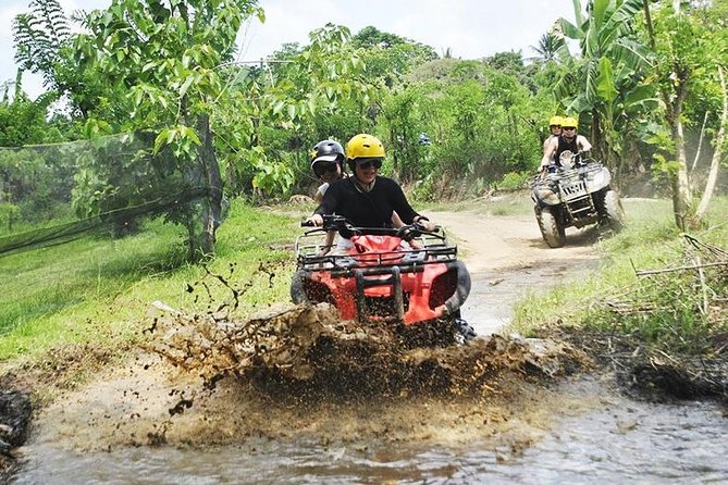 Bali Quad Bike Through Gorilla Cave - Monkey Forest and Waterfall - The private driver makes the long day easier