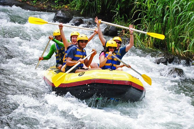 Bali Rafting Ubud with Lunch - Why the $24.95 price can make sense