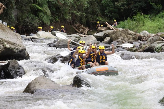 Bali Rafting Ubud with Lunch - Who should book this rafting trip