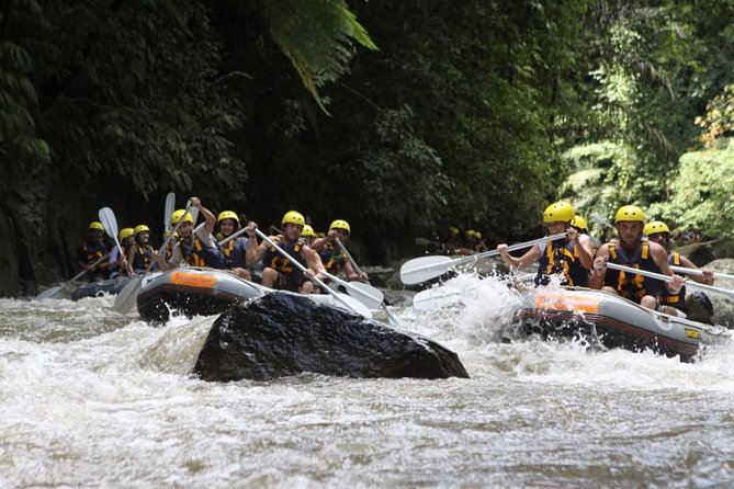 Bali Rafting Ubud with Lunch - What the river route gives you beyond rapids