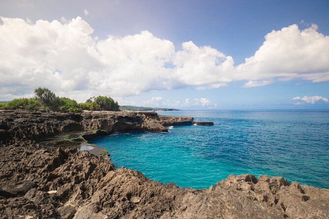 Bali Reef Cruise and Lembongan Island Day Trip - Snorkeling conditions and marine life