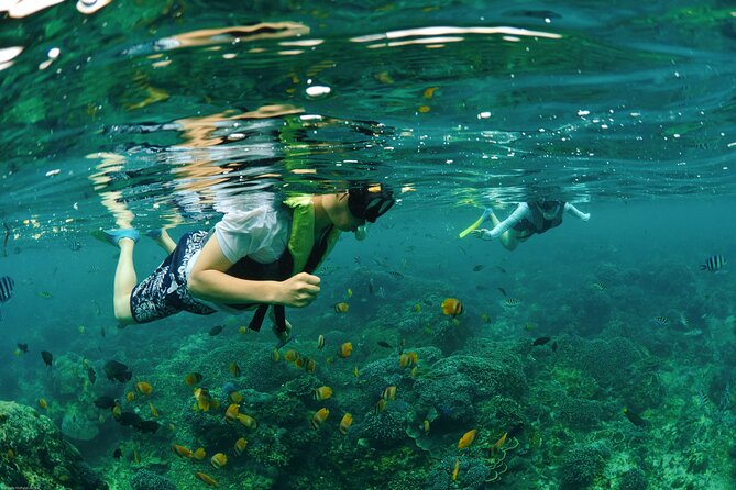 Bali Reef Cruise and Lembongan Island Day Trip - Lunch, tea, and the return crossing