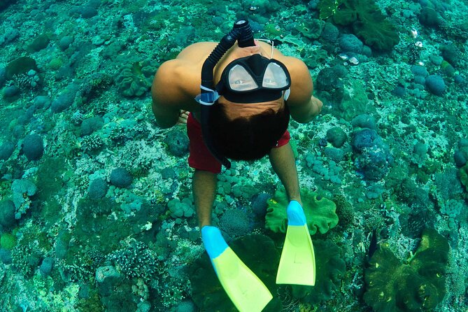 Bali Reef Cruise and Lembongan Island Day Trip - The pontoon: a floating activity center