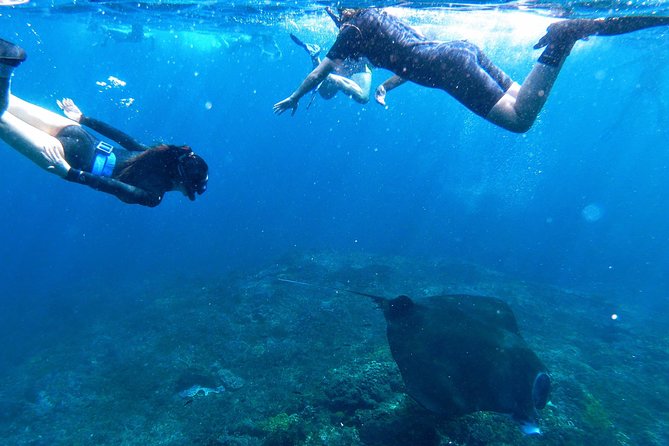 Bali Scuba Diving at Nusa Penida Manta Point For Certified Diver - What the speedboat day feels like