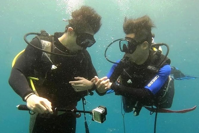 Bali Scuba Diving at Nusa Penida Manta Point For Certified Diver - Who should choose this Nusa Penida trip