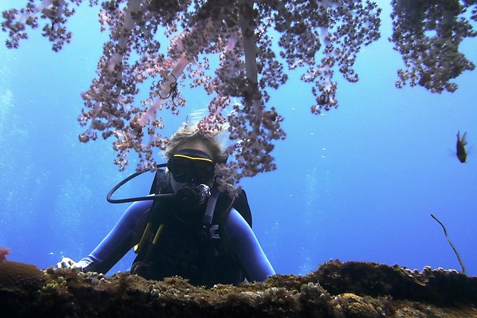 Bali Scuba Diving trip at Tulamben for Certified Diver - What happens at the USS Liberty wreck