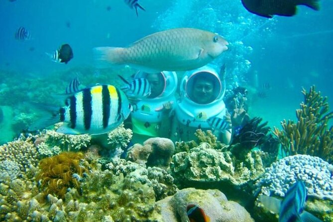 Bali Sea Walker - Key Points Before You Book