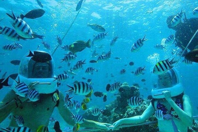 Bali Sea Walker Under Water Experience With Hotel Transfer - Timing, waiting, and the value of the morning slot
