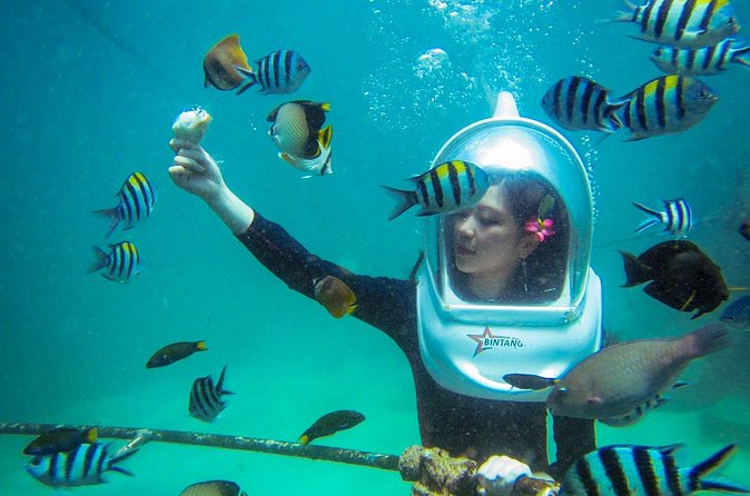 Bali Sea Walker Under Water Experience With Hotel Transfer - Is $32.50 good value?