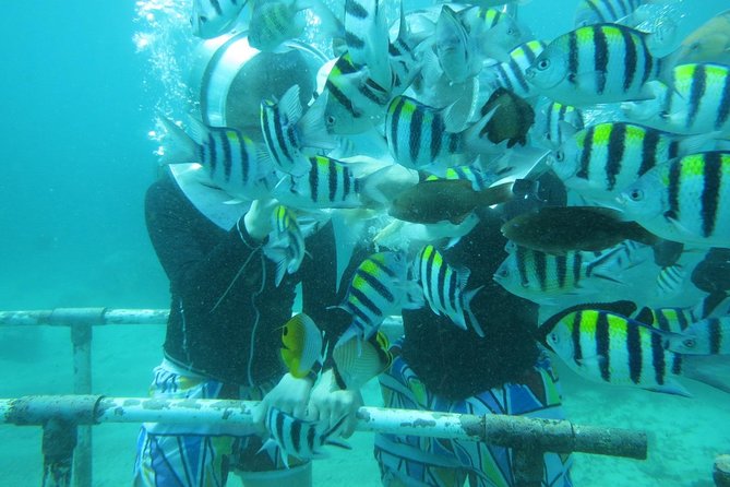 Bali Sea Walking Experience - Tanjung Benoa is the whole core experience