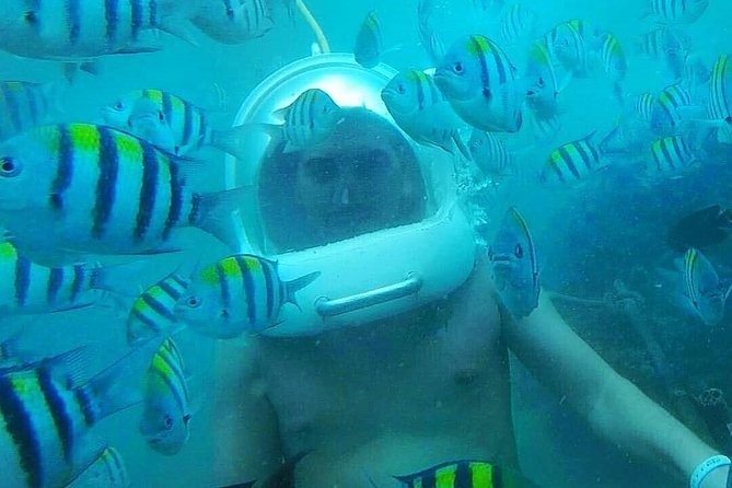 Bali Sea Walking Experience - Price and what the $35.35 covers