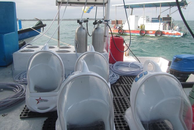 Bali Sea Walking Experience - Timing, clothing, and practical preparation