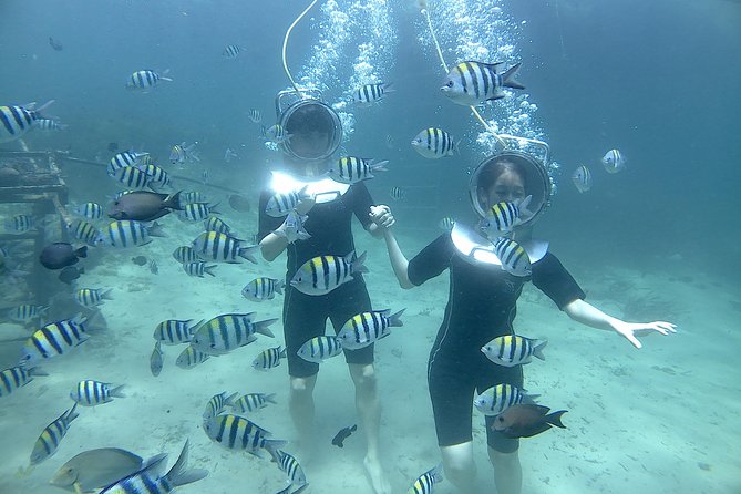 Bali Seawalker - About 20 minutes among coral and fish