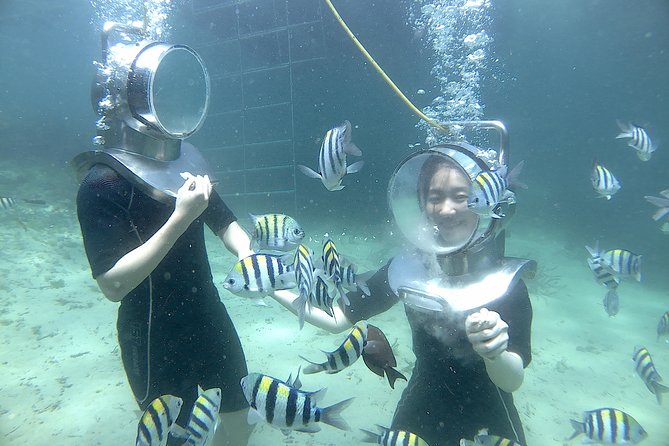 Bali Seawalker - Photos, fish, and the GoPro decision