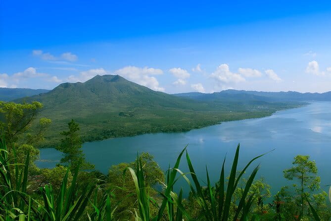 Bali Sekumpul with Fiji Waterfall & Bedugul Temple (Private Tour) - The private car, driver, and pace