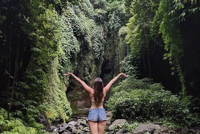 Bali Sekumpul with Fiji Waterfall & Bedugul Temple (Private Tour) - What the $55 price really buys