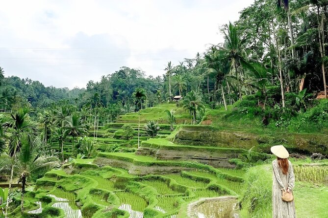 Bali Shore Excursions : Best of Bali Tour - More of Ubud with a driver who can adjust the day