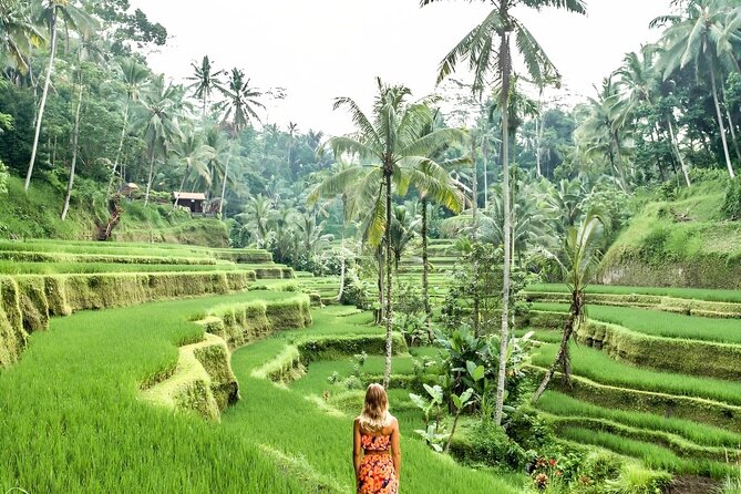 Bali Shore Excursions : Best of Bali Tour - Who will get the most from this excursion
