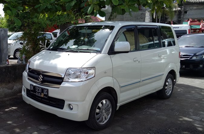 Bali Sightseeing Car Hire with English-speaking Guide and Driver - What is included in the $30 price