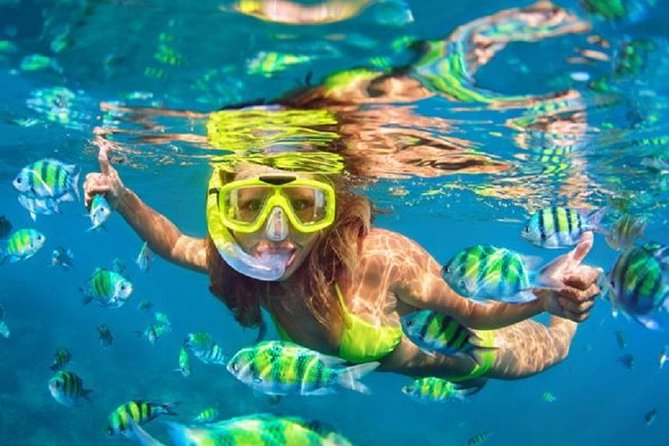 Bali Snorkeling at Blue Lagoon with Transport and Lunch - Why Blue Lagoon is worth the drive from Bali’s resort belt