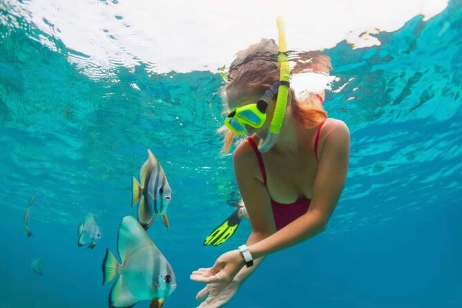 Bali Snorkeling at Blue Lagoon with Transport and Lunch - The morning transfer and arrival at Padangbai