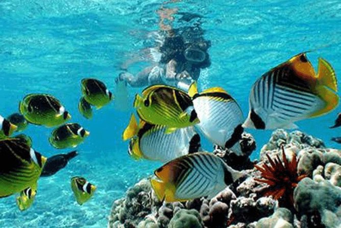 Bali Snorkeling Blue Lagoon and Tanjung Jepun All Included - Tanjung Jepun and the first snorkeling session
