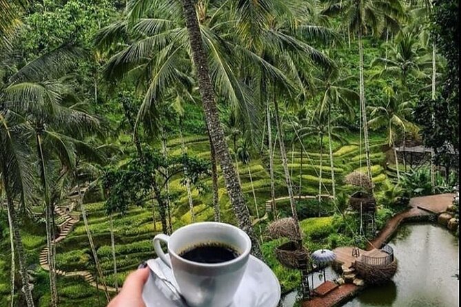 Bali Snorkeling Blue Lagoon with lunch &Optional waterfall Visit - Why this private Blue Lagoon day works well