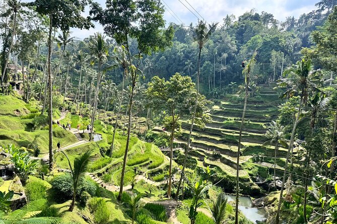 Bali Spiritual: Balinese Healing, Temple & Rice Terrace - Tegalalang Rice Terrace as the final view