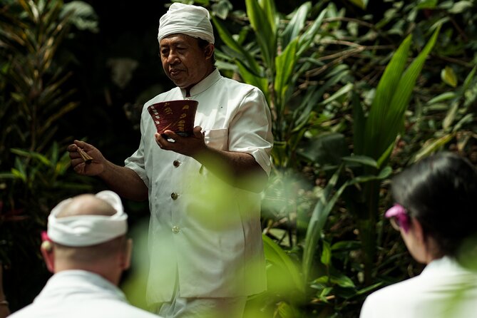 Bali Spiritual: Blessing Ceremony, Pristine Nature and Transfer - Why this Mount Batukaru day feels different