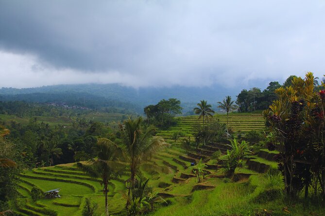 Bali Spiritual: Blessing Ceremony, Pristine Nature and Transfer - What the $115 price covers