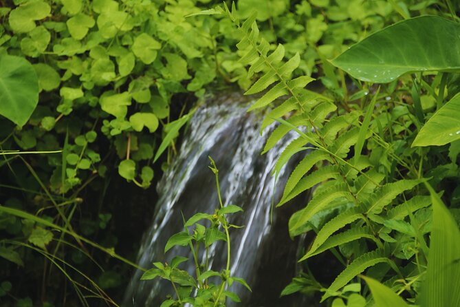 Bali Spiritual: Blessing Ceremony, Pristine Nature and Transfer - A warm welcome with flowers, Jamu, and Rindik music