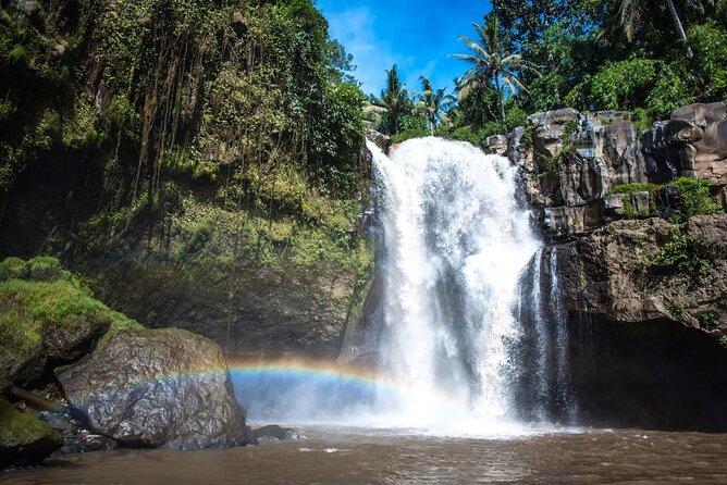 Bali Swing Hot Spring And Waterfall Private Guided Tour - What this Bali day tour is really designed to do