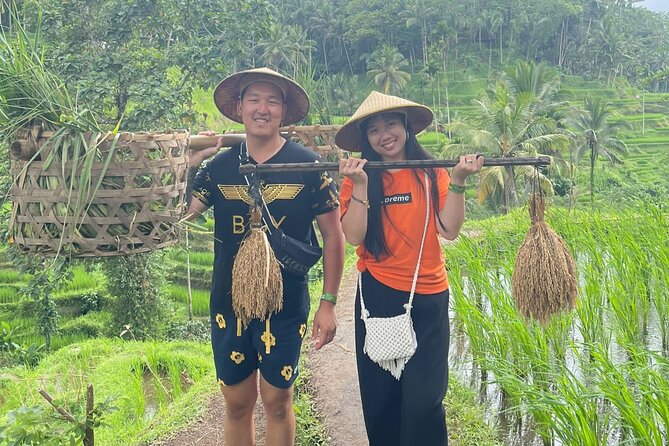 Bali Swing Hot Spring And Waterfall Private Guided Tour - A brief stop in Tampaksiring
