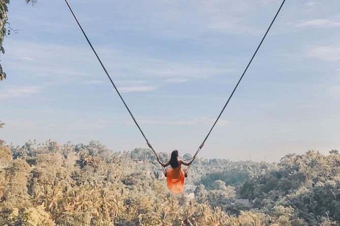 Bali Swing, Monkey Forest and Waterfall Private Tour - One day, five very different sides of Bali