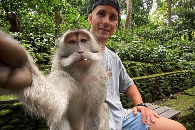 Bali Swing, Monkey Forest and Waterfall Private Tour - The private car is the quiet advantage