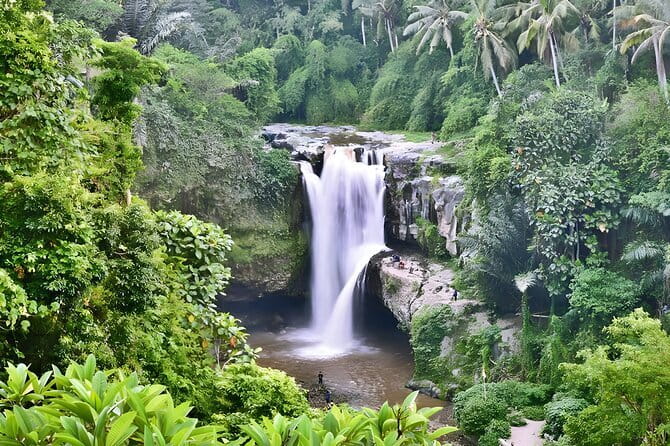 Bali Swing Packages and Kintamani Mt Batur Volcano View - Tirta Empul and Bali’s sacred spring