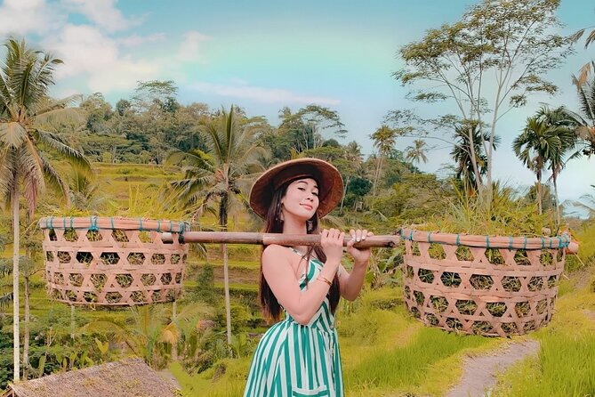 Bali Tour : Best Attractions in Ubud with Rice Terrace - Why the private vehicle and Wi-Fi matter