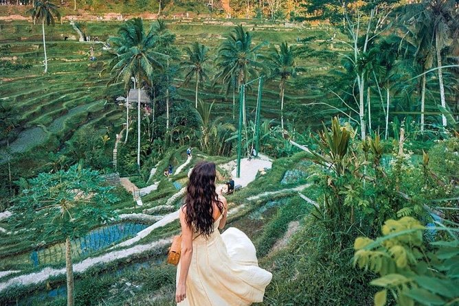Bali Tour : Best Attractions in Ubud with Rice Terrace - Tegalalang Rice Terrace and the best rural views