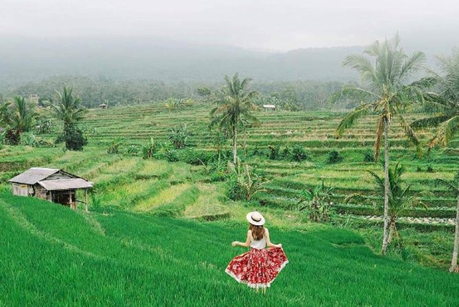 Bali Tour Package 9 Days 8 Nights - Day 3: North Bali temples and the broad Jatiluwih terraces