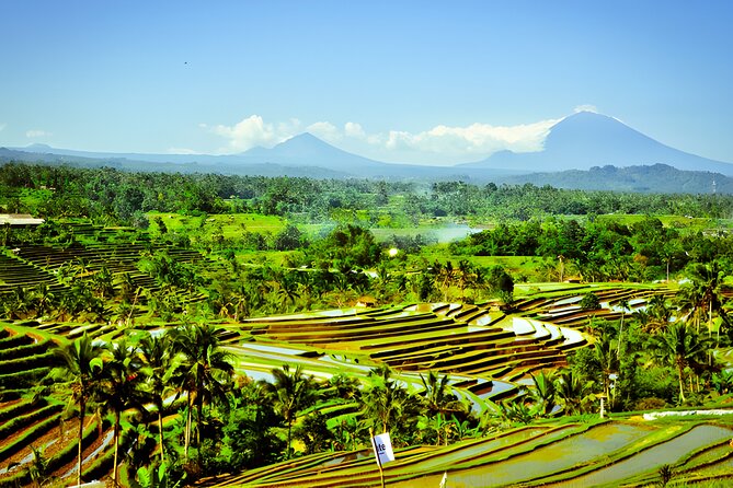 Bali Tour: The Best Way to Explore The Highlight of Bali - Ulun Danu Bratan and the floating-temple view