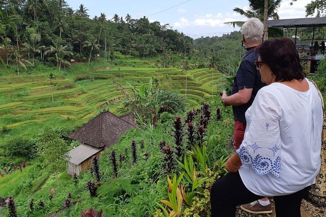 Bali Tour: Ubud Most Popular Place - Tegalalang Rice Terrace delivers Bali’s classic view