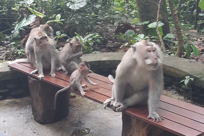 Bali Tour: Ubud Most Popular Place - Celuk shows the craft behind Bali’s jewelry