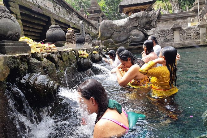 Bali Tour: Ubud Most Popular Place - What the guide can add to a very busy day