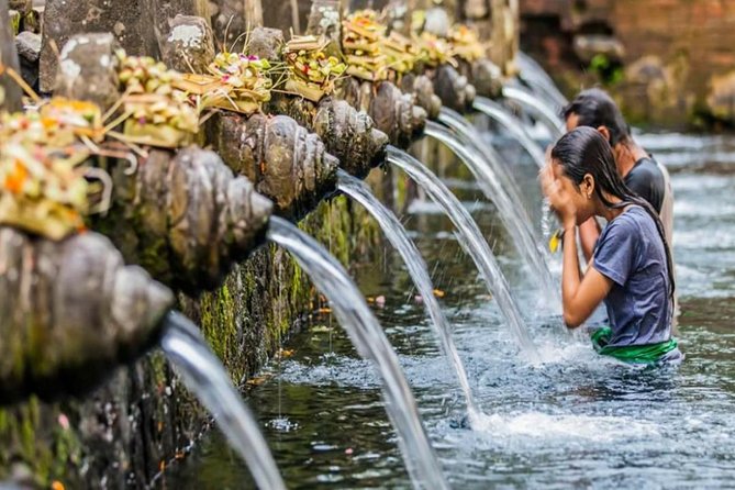 Bali Tribal Private Tour - Experience the best of Ubud, Bali - Gray macaques at the Sacred Monkey Forest