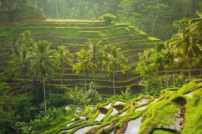 Bali Tribal Private Tour - Experience the best of Ubud, Bali - Tegenungan Waterfall and a short walk