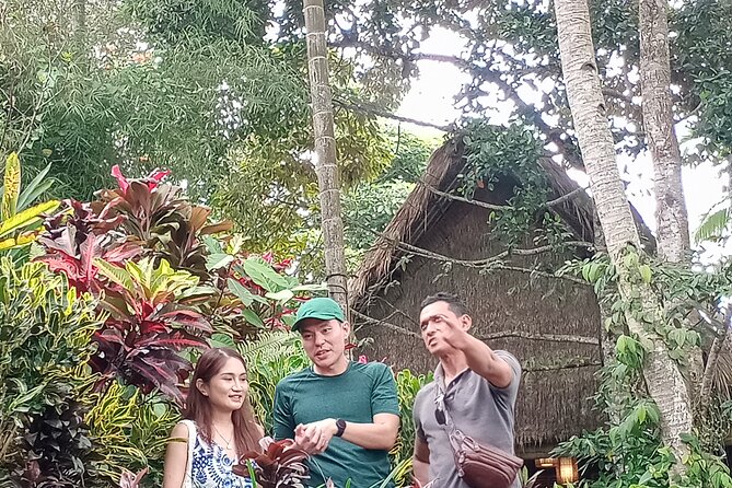 Bali Ubud Driver - Why a private Bali driver makes sense from Kuta