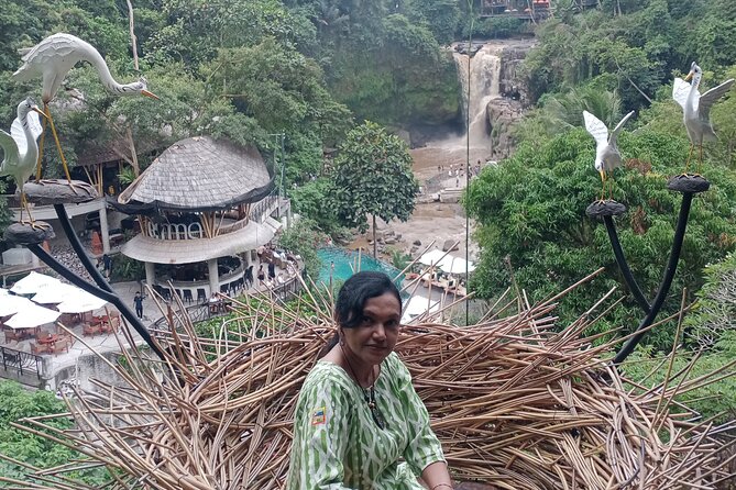 Bali Ubud Driver - Tegalalang Rice Terrace and the cost of a viewpoint